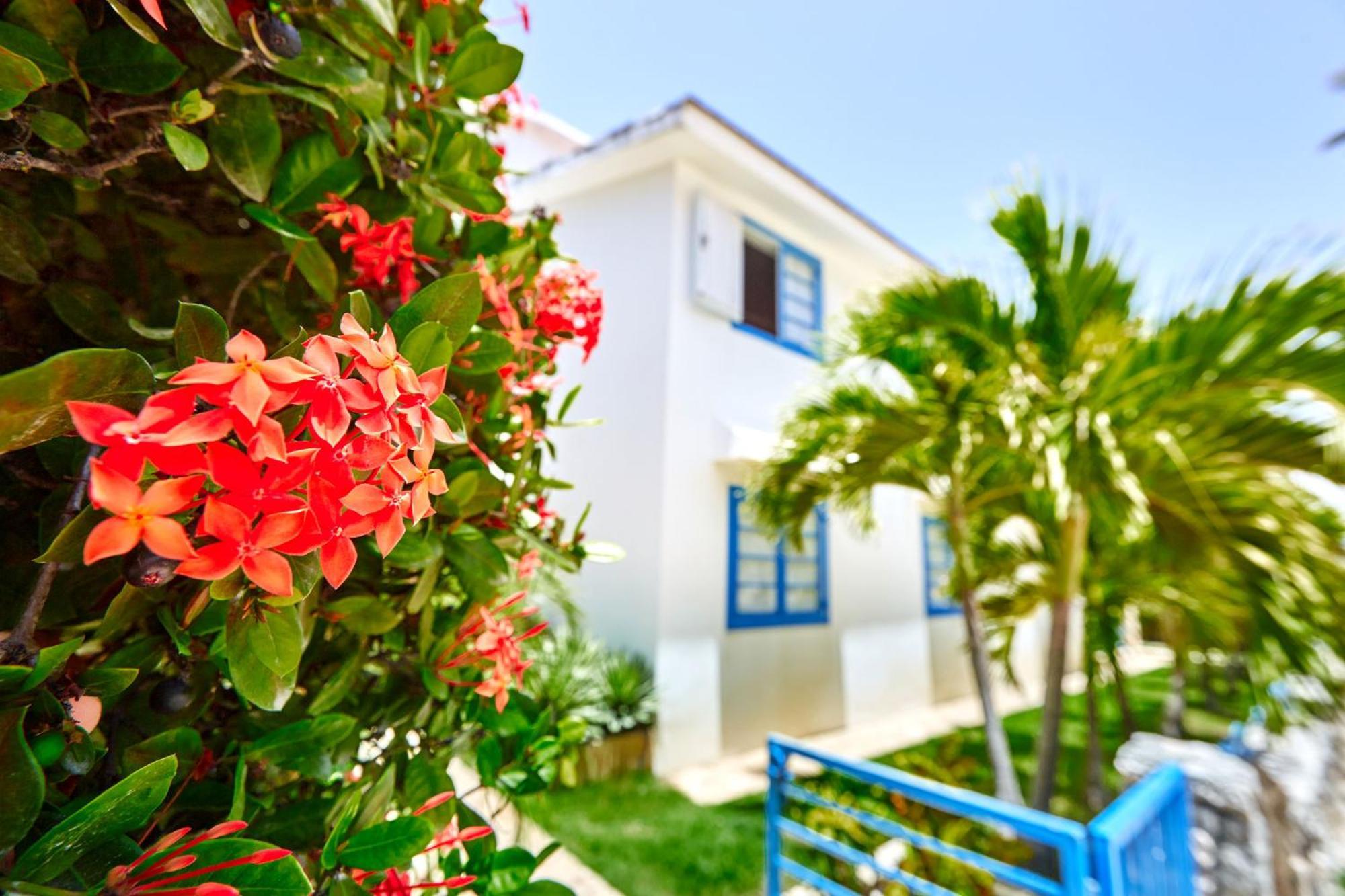 La Flor Del Caribe Beach & Spa Punta Cana Kamer foto