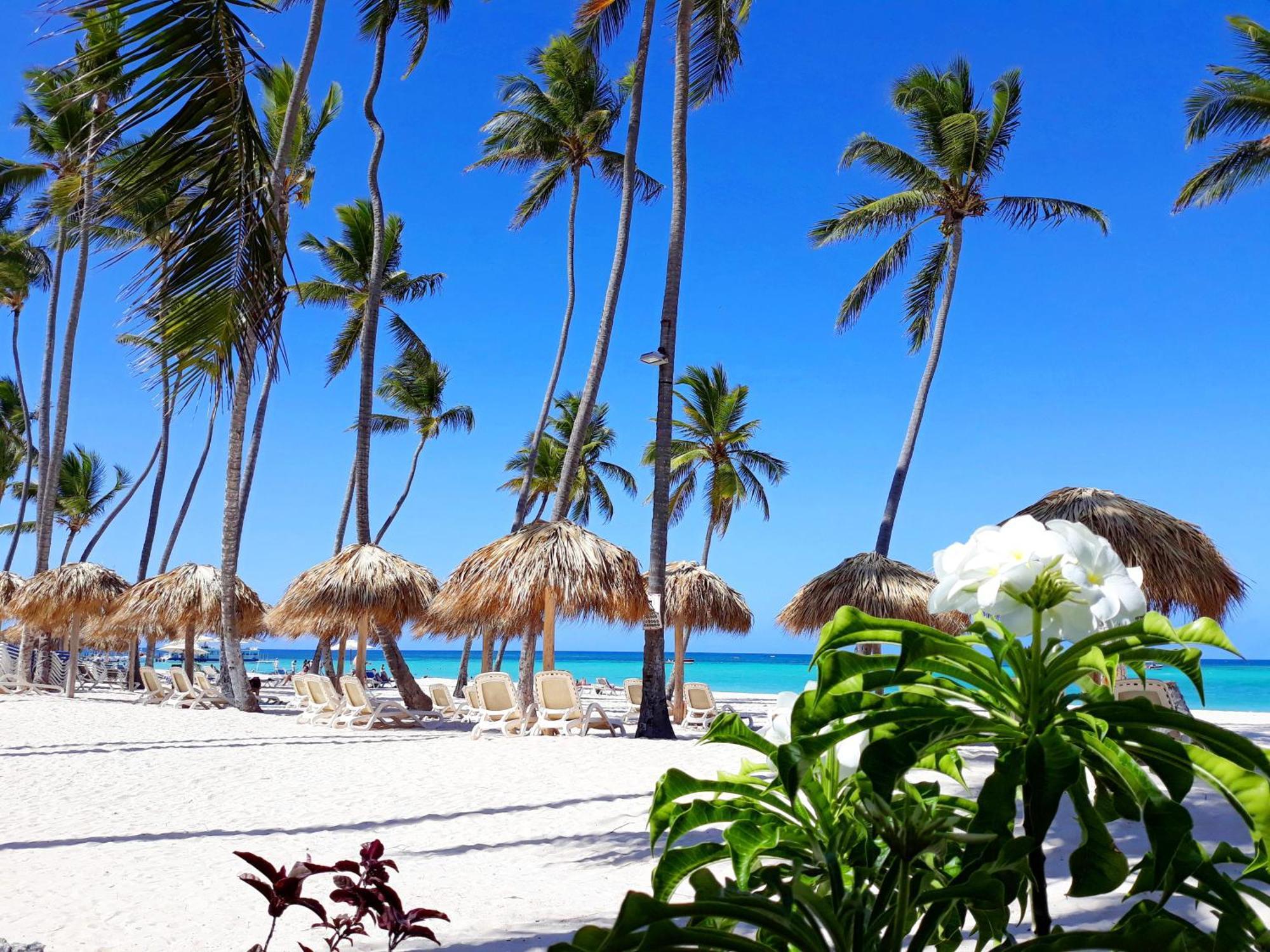 La Flor Del Caribe Beach & Spa Punta Cana Kamer foto